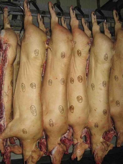 APT-JET应用于猪肉